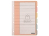  SEPARADOR CARTA  6 DIVIS COLOR BUHO 11 
