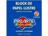  PAPEL LUSTRE BLOCK 16 X 16 24HJ COL.SURTI PROARTE 