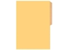  CARPETA CARTULINA PIG.BRILLANTE BEIGE BUHO 